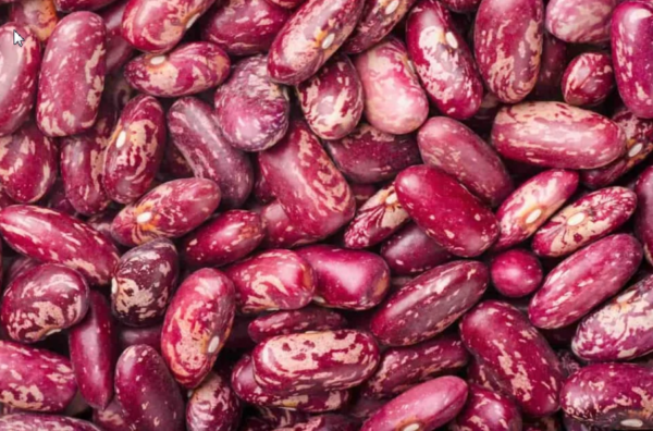 Red Speckled Kidney Beans